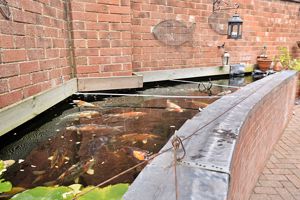 Photo 24- click for photo gallery